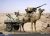 صورة هل موريتانيا أنجرت لحرب العصابات؟:Africanews تنشر عن وحدات موريتانيا في قوة G5