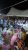 صورة مقاطعة كيفه : ‘‘ جماعة الخير ‘‘ تجتمع ؛ و حديث عن زلزال سياسي سوف يقلب الكفّة
