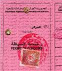 صورة كيفه : وزارة التجهيز و النقل تفتتح دورة لحيازة رخص السياقة في ولاية لعصابه