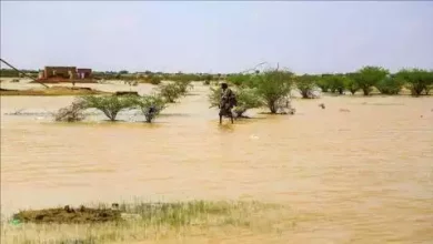 صورة كيفه : هيئة الأرصاد تتوقع أمطارا على ولاية لعصابه